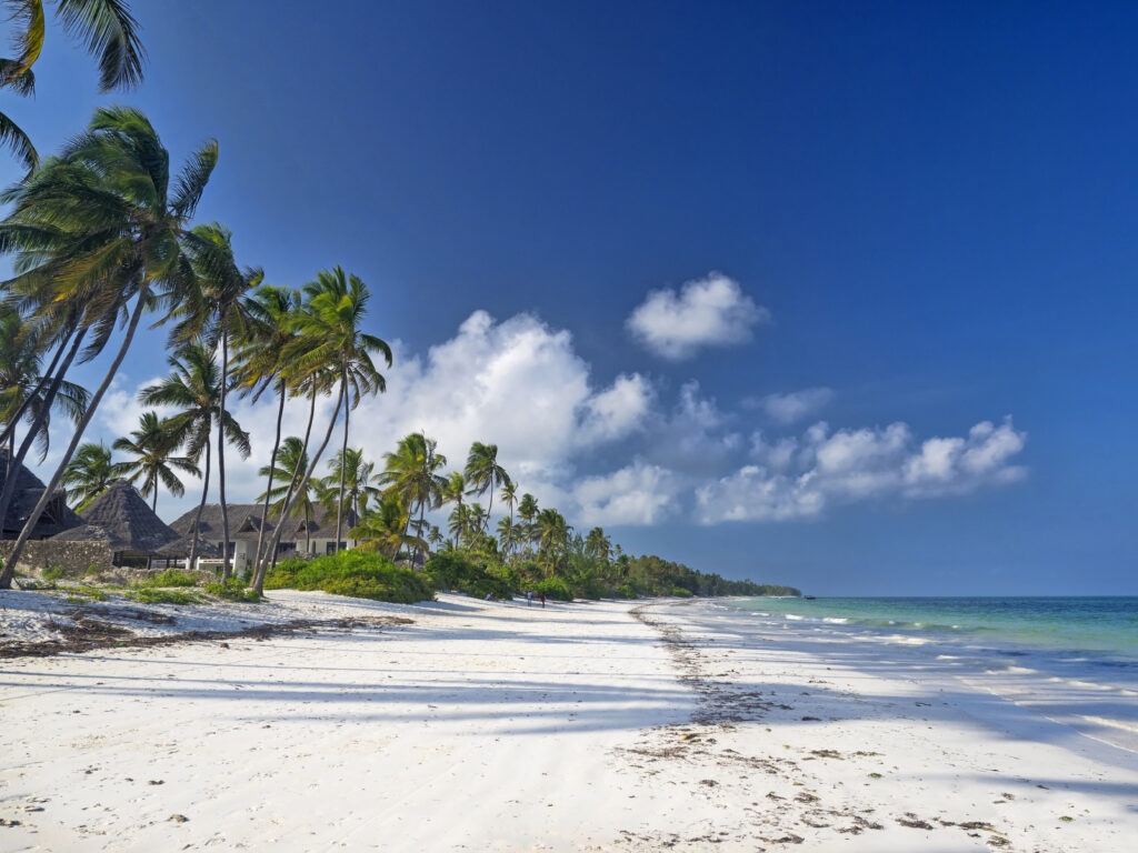 Zanzibar diving