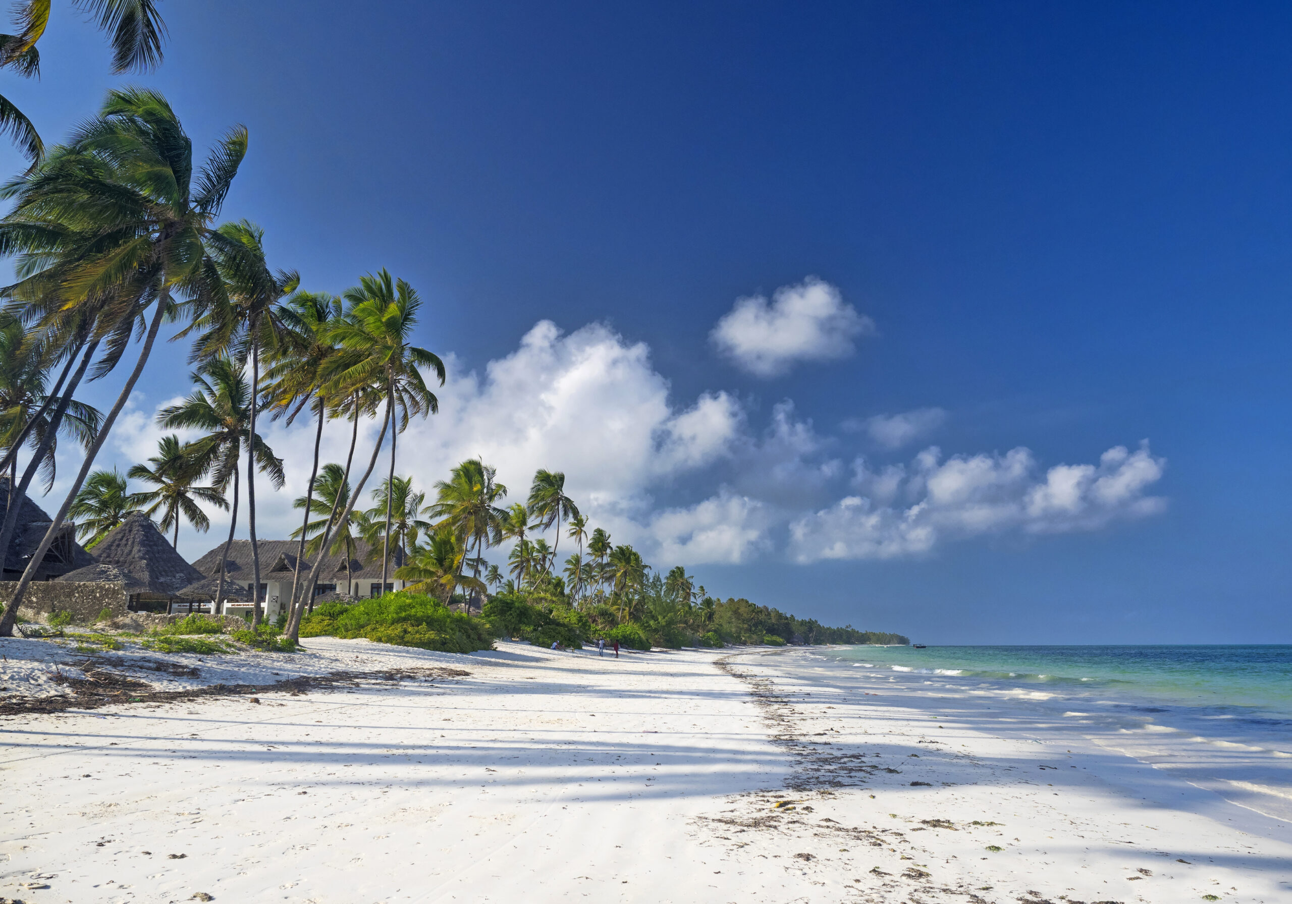 Zanzibar diving